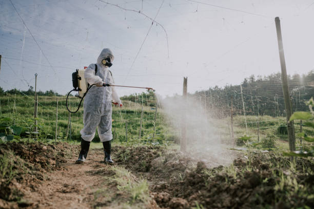 Best Commercial Pest Control Services  in Zolfo Springs, FL