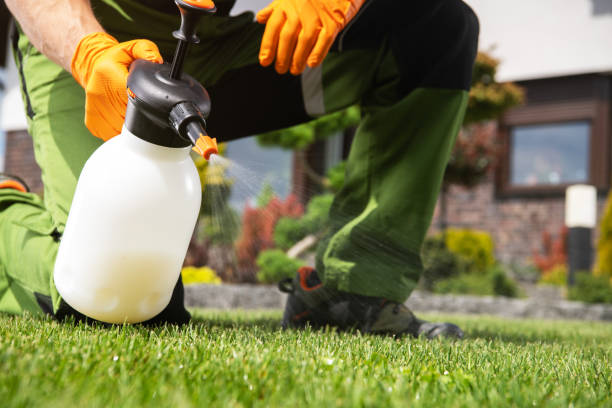 Best Best Pest Control Companies  in Zolfo Springs, FL