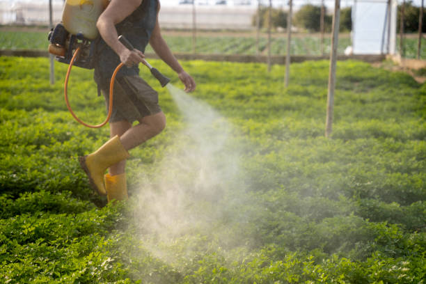 Flea Control Services in Zolfo Springs, FL