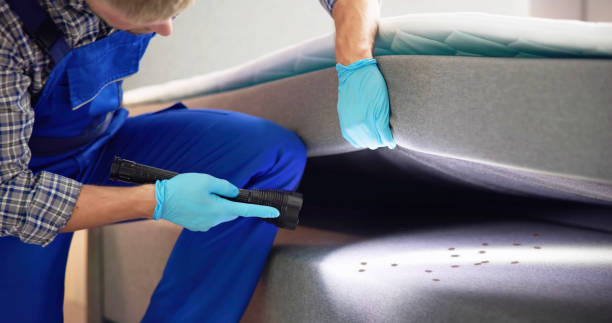 Professional Pest Control in Zolfo Springs, FL