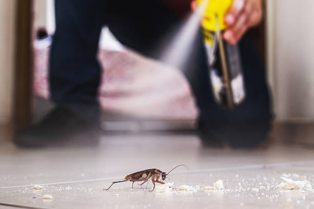 Best Pest Removal Services  in Zolfo Springs, FL